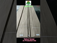 Natural Wood Veneer