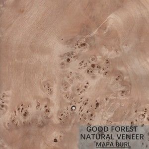 Tree Burl Wood Veneer Natural White Poplar Veneer Sheets Excellent