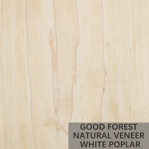Tree Burl Wood Veneer Natural White Poplar Veneer Sheets Excellent