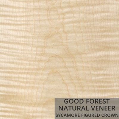 Natural Sycamore Figured Wood Veneer 0.3mm - 0.5mm For Interior Doors