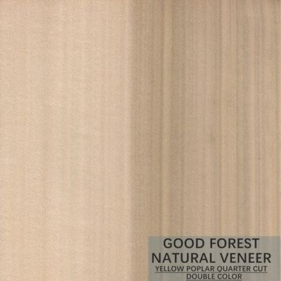 Mappa Tulip Natural Wood Veneer Boxwood Excellent Double Color