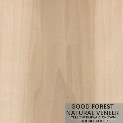 Mappa Tulip Natural Wood Veneer Boxwood Excellent Double Color
