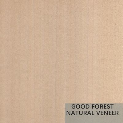 Mappa Tulip Natural Wood Veneer Boxwood Excellent Double Color