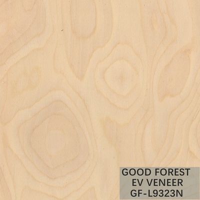 Engineered Wood Veneer Tree Root Wood Veneer Natural / Dyed Color