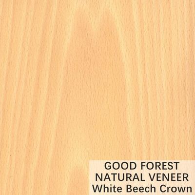 Natural White Beech Wood Veneer Crown Cut Customized Service