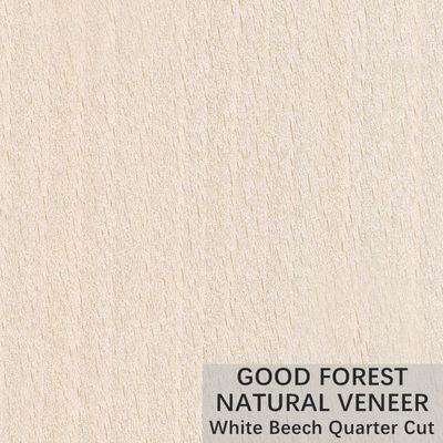 Natural White Beech Wood Veneer Crown Cut Customized Service