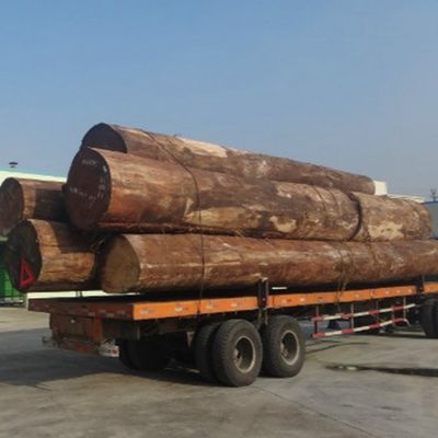 White Apricot Engineered Wood Veneer H86C Slice Cut Technics For Wall Covering