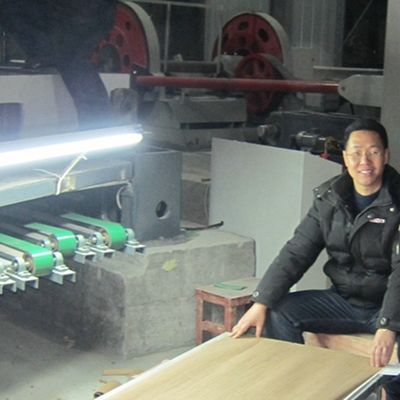 Fancy Wood Veneer Chinese ASH -790C/790S/1229C Man-Made Lengthened Size 3100mm Can Be Customized For Decoration China Makes