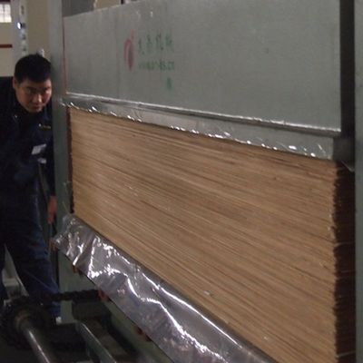 Fancy Recomposed Wood Veneer White Maple 168S Straight Grain For Car Interior