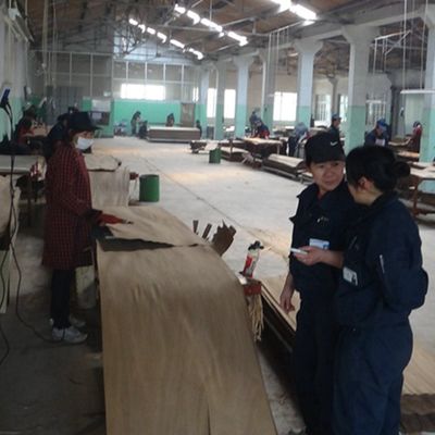 Simulation Wood White Ice Tree Veneer 3100mm Indoor Decorative Board