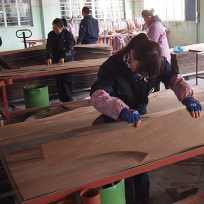 Artificial Wood Veneer of Golden Tree Ring 0.30mm G.TR-X3388 Slice Cut For Cabinet Face