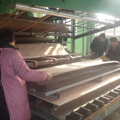 Factory Supply 0.5mm Thickness Engineered Wood Veneer BBGS-L10.0N For Hotel Decoration