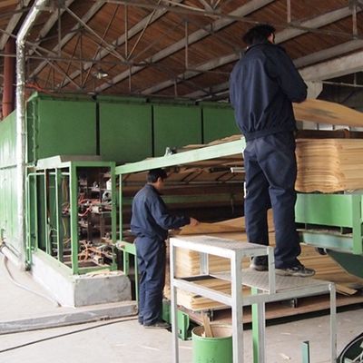 Engineered Wood Veneer Of Silver Bird'S Burl SBB-X0033 Thickness 0.15-0.6mm For Shipping And Yacht