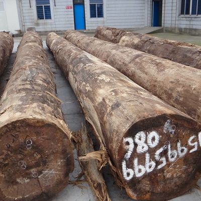 Engineered Wood Veneer Of Silver Bird'S Burl SBB-X0033 Thickness 0.15-0.6mm For Shipping And Yacht
