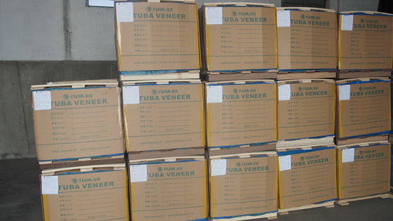 Exotic Engineered Maple Figured Wood Veneer X6223 Irregular Texture Dyed Grey Color Good Supply Capacity From China