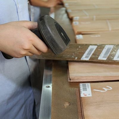 Solid Wood American Elm Sheets Grade A For Quarter Cut Crown Grain Natural Color For Door Face 3200mm Up