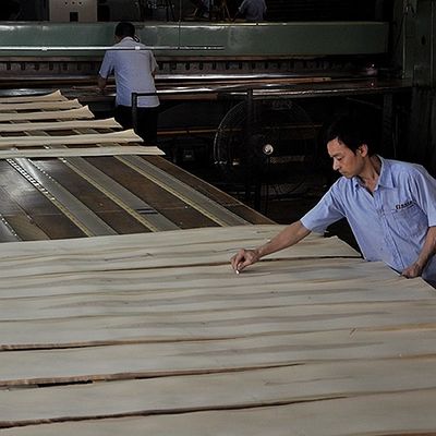 Artificial Wood Veneer of Golden Tree Ring 0.30mm G.TR-X3388 Slice Cut For Cabinet Face