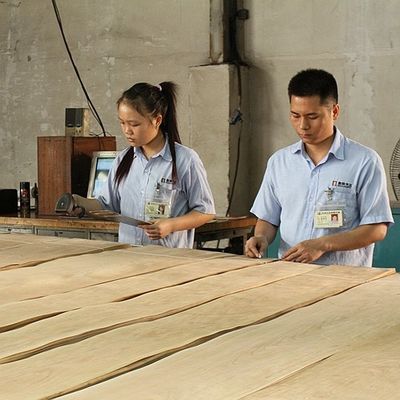 Artificial Wood Veneer of Golden Tree Ring 0.30mm G.TR-X3388 Slice Cut For Cabinet Face