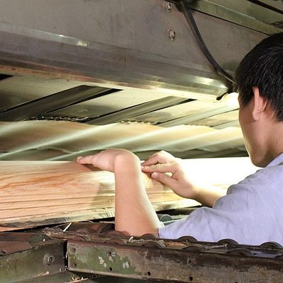 0.5mm Thickness Natural Tamo Ash Veneer For Car Interior And Musical Instrument