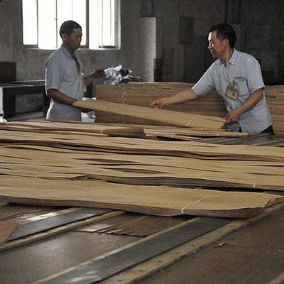 Artificial Wood Veneer of Golden Tree Ring 0.30mm G.TR-X3388 Slice Cut For Cabinet Face