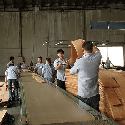 Artificial Wood Veneer of Golden Tree Ring 0.30mm G.TR-X3388 Slice Cut For Cabinet Face