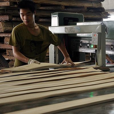 Artificial Wood Veneer of Golden Tree Ring 0.30mm G.TR-X3388 Slice Cut For Cabinet Face