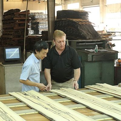 Solid Wood American Elm Sheets Grade A For Quarter Cut Crown Grain Natural Color For Door Face 3200mm Up