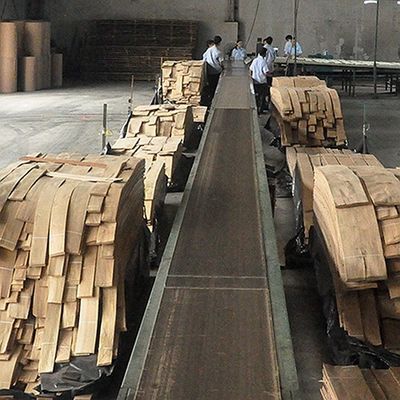 Solid Wood American Elm Sheets Grade A For Quarter Cut Crown Grain Natural Color For Door Face 3200mm Up