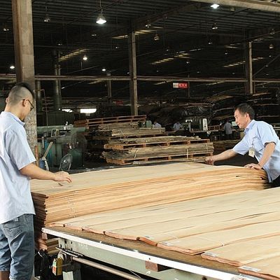 Solid Wood American Elm Sheets Grade A For Quarter Cut Crown Grain Natural Color For Door Face 3200mm Up
