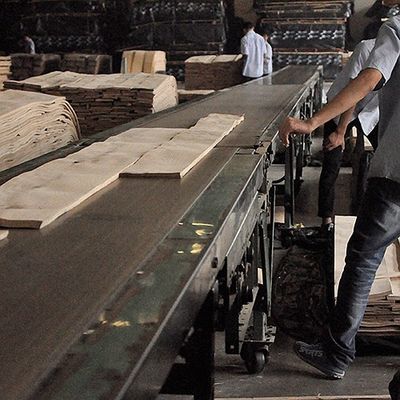 Natural Koto Wood Veneer Quarter Cut Special Straight Flake Grain Good Supply Capacity For Dyeing Process