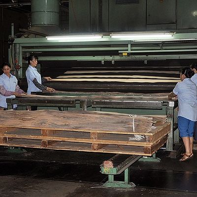 American Natural Maple Wood Veneer Birdseye Maple Thickness 0.5mm Good Quality For Furniture And Musical Instrument