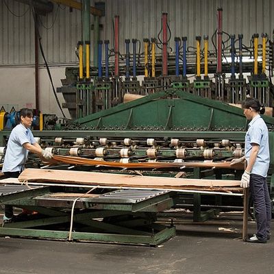 Quarter Cut Irregular Straight Figured Prima Vera Veneer For Doors And Windows