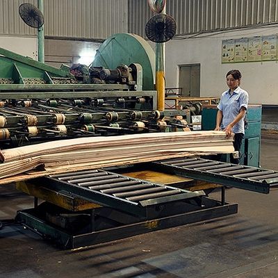 Africa Natural Koto Wood Veneer Quarter Cut Straight Grain Good Quality For Dyeing Process Can Be Customized