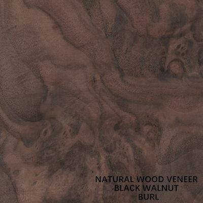 Decoration Natural Walnut Wood Veneer Excellent Burl Grain For High Class Furniture Making FSC China Manufacturer