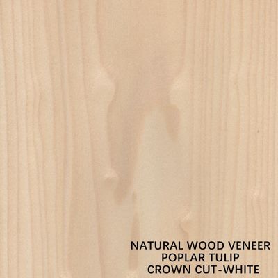 Tulip American Natural Poplar Wood Veneer Flat Cut Crown White For Doors
