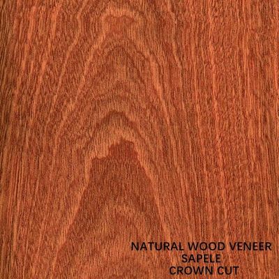 Paneling And Doors Africa Natural Sapele Wood Veneer Flat Cut Crown Grain AAA Grade
