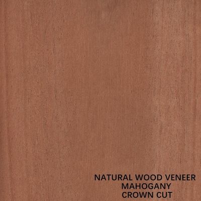 Furniture And Music Instruments Natural Mahogany Wood Veneer Flat Cut Crown Cut