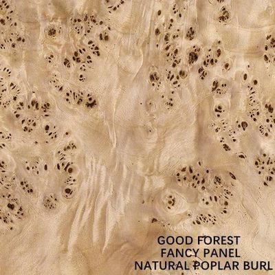 Fancy Panel Faced Natural White Poplar Burl Wood Veneer For Hotel Decoration 2440/2745mm Lengthened Size China Supply
