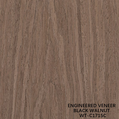 Artificial Natural Wood Veneer Crown Cut Walnut Standard Size 2500*640 For Indoor Decorative Board WT-C1275C/1512C/1715C