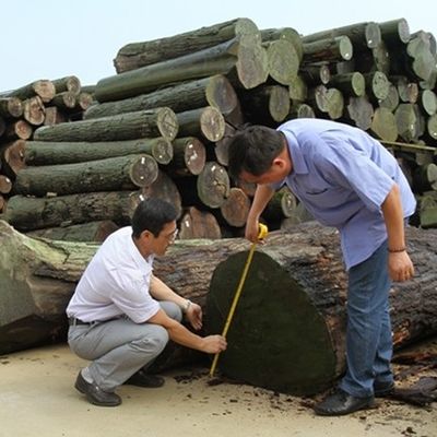 Engineered Wood Veneer Slice Cut Wenge Quarter Grain Good Price For Hotel Decoration 3200mm TD-678Q/1403Q/2238Q