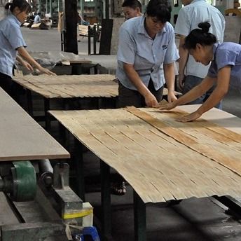 Blue Cat'S Eye engineered wood veneer X809 Specially  Ring Grain Customized 0.55mm thickness