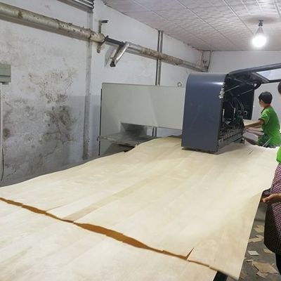 Customized Service Engineered Wood Veneer Lengthened Size 3100mm