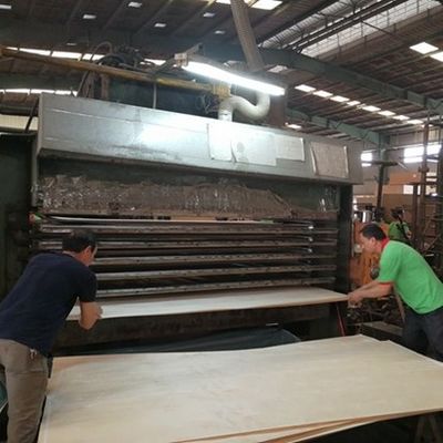 Roman RN-X8092C Crown Grain Irregular Texture 2500-3100mm Modern Wood Door Design