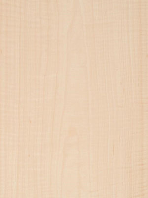 Add Elegance To Space Maple Veneer Panels Flocculent Shadows Texture Manifestations
