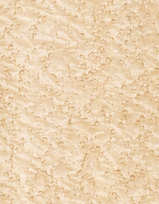 Add Elegance To Space Maple Veneer Panels Flocculent Shadows Texture Manifestations