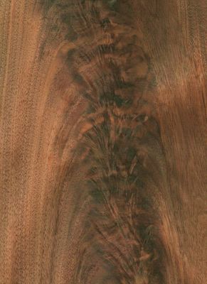 America Black Walnut Natural Wood Veneer Straight Sliced For Fancy Panel Furniture And Flooring In 0.18-0.55mm Thickness