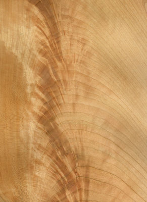 Natural American Cherry Wood Veneer Sheet Slice Flat Cut 2200-3200mm Normal Size For Furniture Decoration