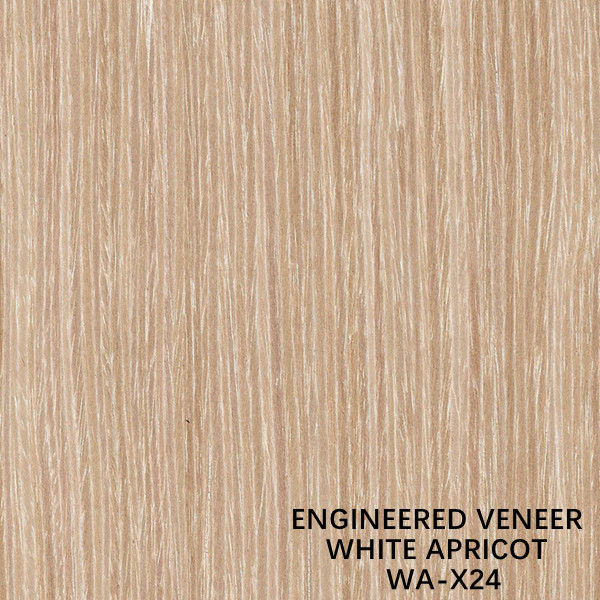 Reconstituted Decorative Engineered Apricot Wood Veneer X24 White Apricot Vertical Grain Popular Used For Cabinet Face