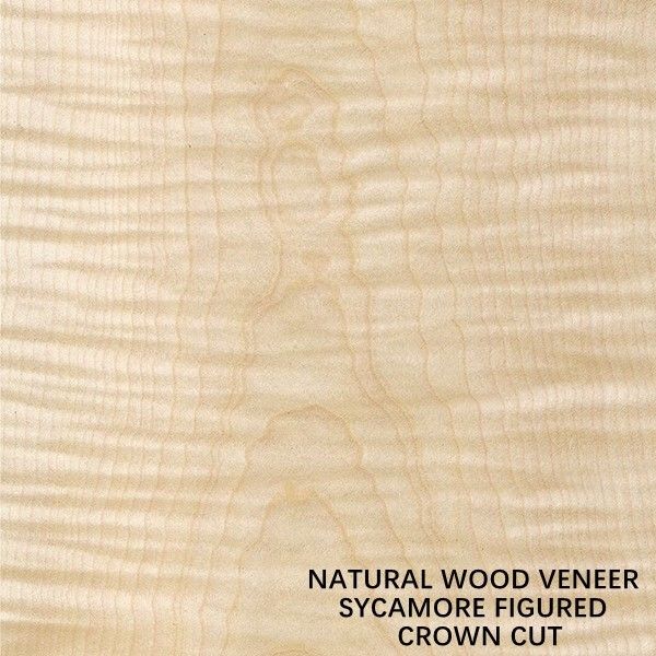 Europe Natural Figured Sycamore Wood Veneer Flat Cut Crown Cut Thickness 0.5mm For Dying And Cabinet