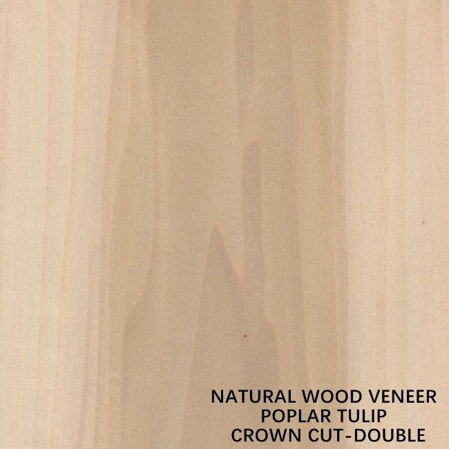 Double Color American Natural Poplar Wood Veneer Flat Cut Crown For Fancy Plywood